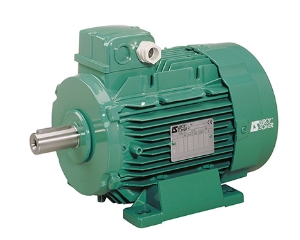 ELECTRIC MOTORS